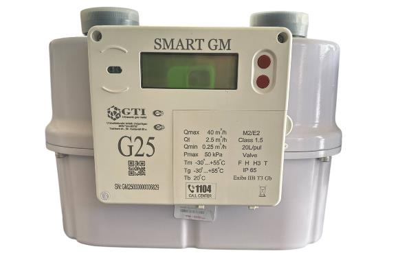 Commercial gas meter